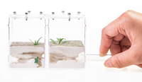 Fourmis Empire : Mini Terrarium Écologique Souterrain pour Petits Animaux – Solution d'Alimentation Domestique pour Insectes