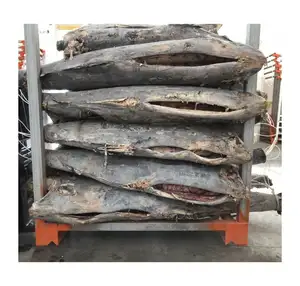 Obral Harga Penjualan Laris Ikan Layar Beku
