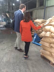 Fideos Vermicelli Anchos para Hot Pot de la Mejor Calidad, Producto Vietnamita de Almidón en Forma Líquida en Bolsa, Gran Venta y Exportación Internacional - Product Image 6