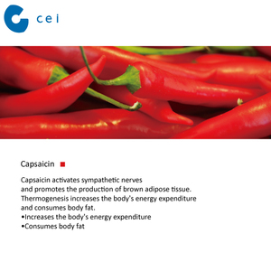 Complément alimentaire Produit <span class=keywords><strong>De</strong></span> <span class=keywords><strong>Perte</strong></span> <span class=keywords><strong>De</strong></span> <span class=keywords><strong>Poids</strong></span> Poudre <span class=keywords><strong>De</strong></span> Capsaïcine Extrait Végétal - Product Image 4
