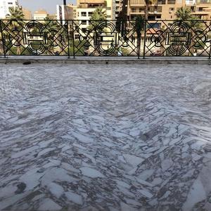 Carbonate industriel de marbre égyptien luxueux de catégorie pour diverses applications industrielles - Product Image 4