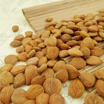 Raw Dried Bitter Apricot Kernels