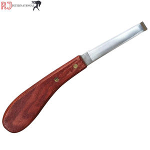 Per <span class=keywords><strong>Swiss</strong></span> strumenti veterinari riutilizzabili per la cura del cavallo coltelli a lama affilata con anello di forma ovale per la diagnostica di rifilatura - Product Image 5