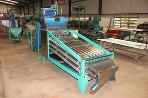 Cashew Size Sorting <b>Machine</b>: Ensuring Consistency and Quality in Cashew Nut Sorting - Product Image 4
