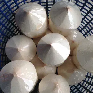 FROZEN COCONUT WATER WITH REASONABLE PRICE