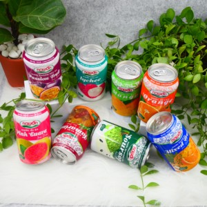 Boissons d'aloe Vera en boîte, 250ml, de haute qualité, au jus d'ananas, vente en gros, prix le Vietnam - Product Image 3