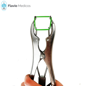 Pince d'accueil pour animaux de compagnie, à queue de mouton, pince à dame sans sang, pince en acier inoxydable - Product Image 2