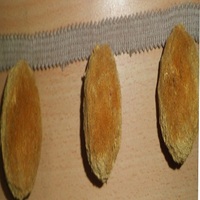 Couverture polyester boucles d'oreilles soie gland cordon en stock métal gland charme livre marque glands