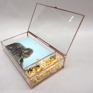 <b>Glass</b> Photo <b>Box</b> with 1.5" USB compartment - lots of sizes - Display <b>Box</b> - Product Image 1