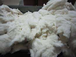 Fardos de algodón 100% de alta calidad fibra de algodón para material de relleno disponible en Vietnam precios al por mayor-Florencia - Product Image 2