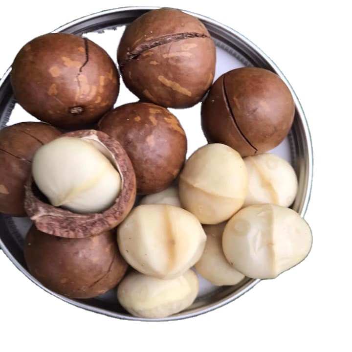 macadamia nuts
