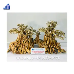 2023 Natural bonsai driftwood for Aquarium decoration at a competitive price WhatsApp: +84 961005832