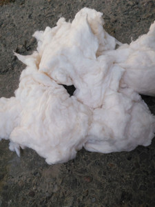 Coton blanchi à motif brut écologique de Thanh Vin Company Meilleure vente - Product Image 3