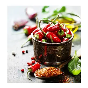 CO2-Extrakt Red Chilli Oleoresin Capsicum Oleoresin