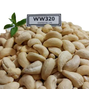 वियतनाम काजू Kaju Badam पागल कच्चे काजू गुठली अखरोट का नाश्ता Cashewnut W320 W240 निर्माता कीमत Whatsapp + 84932028019