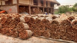 Canela Cassia de Vietnam en Oferta, Cassia Rota y Desgarrada VO 3%, Cassia Seca a Granel, Exportación al por Mayor, Suministro de Fábrica - Product Image 2