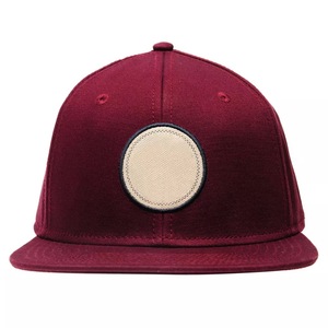Gorra de béisbol de estilo Hip Hop con logotipo personalizado, Snapback, deportiva, alta calidad, 100% - Product Image 5