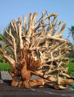 Statue de phœnix en bois de teck naturel, grande décoration exotiques, Technique de sculpture Exclusive