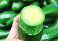 Premium diepvriesavocado uit Vietnam - IQF stukjes en halveën, zoete avocado puree voor foodservice en retail - Meneer Alex