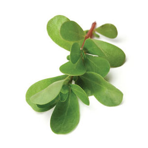 Verdolaga Hecha en Turquía - Product Image 4