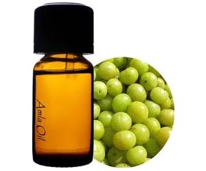 Huile de support Amla pressée à froid Phyllanthus Emblica d'Inde - Product Image 4