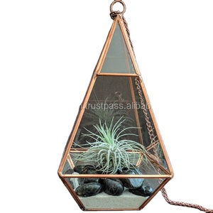 Terrario Geométrico de Vidrio Chapado en Oro, Maceta Colgante para Suculentas, Diseño Moderno y Minimalista para Plantas de Interior - Product Image 6