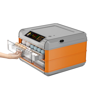 Tolcat-mini incubadora solar de huevos de pollo, máquina de incubación automática con bandeja de rodillo, 64 huevos - Product Image 4
