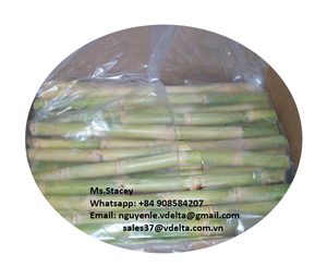 ส่งออกน้ำอ้อยแช่แข็ง - Product Image 1