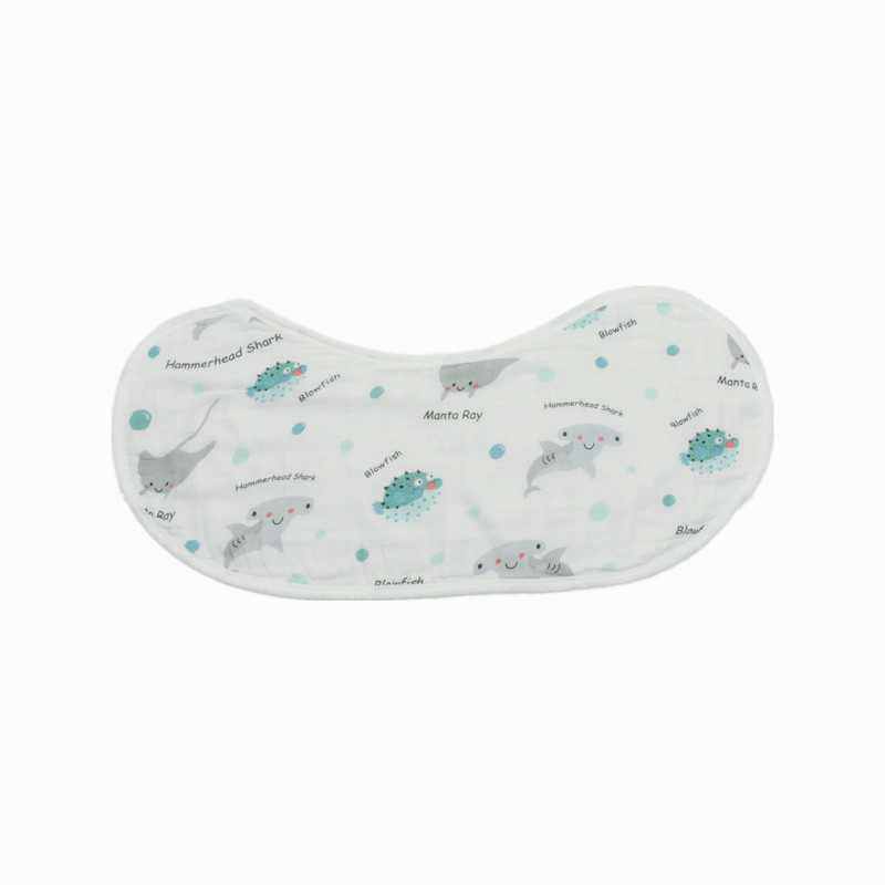 Requin