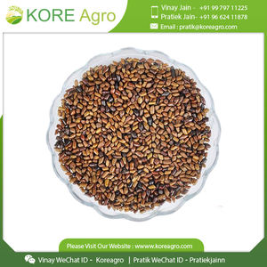 Graines supérieur en cafin, 2 pièces sans café, graines Tora originales, disponibles en Stock, prêt à l'exportation depuis le fournisseur breveté - Product Image 2