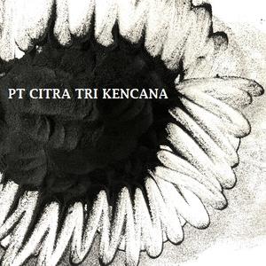 Oud ผงถ่านมะพร้าว Makko jiggit ถ่านสีดำทำธูปแท่งสีดำ Joss GUM bukhoor bakhoor gaziabad อินเดีย - Product Image 2