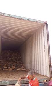 LEÑA 25, 33 cm LOOSELY BULK LOADED From LEÑA HAYA CENIZA OAK LTD. BULGARIA - Product Image 4