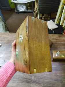 OD PET SIIL SINS BY BSWORRLD D IINNDDI - Product Image 4