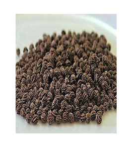 MOST COMPETITIVE DRIED PAPAYA <b>SEEDS</b> CARICA PAPAYA FROM VIETNAM PAPAYA <b>FRUIT</b> <b>SEEDS</b> - Product Image 4