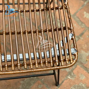 Nouvelle chaise et chaise d'appoint en rotin de style traditionnel avec base en fer Chaise de loisirs pliable pour bureau à domicile Salon et hôtel - Product Image 6