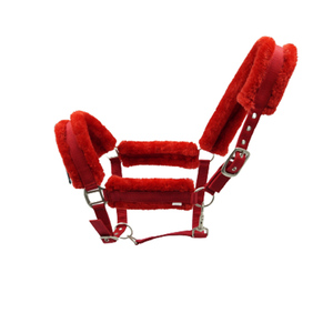 Nouvelle Collection Western Saddle Horse Halter Polypropylène PP Cuir Nylon PVC Matériaux Bas Prix Fabricant Fournisseur En Vrac - Product Image 1
