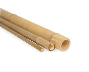 Dapat digunakan kembali bahan baku 100% bulat alami pagar bambu tongkat bambu besar dari ECO2GO Neymar
