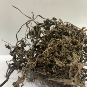 Jalea de Hoja Negra Seca - La Bebida Más Fresca de Vietnam Vicky +84 90 393 1029 - Product Image 5