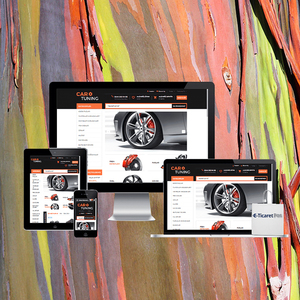 บริษัทพัฒนาเว็บไซต์อีคอมเมิร์ซในอินเดีย | บริการพัฒนาเว็บไซต์อีคอมเมิร์ซโดย Webroot Infosoft - Product Image 3