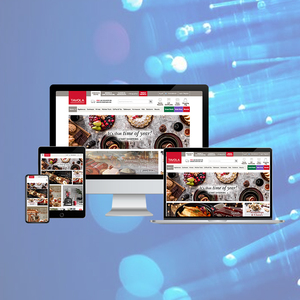 Société De Conception et De Développement De sites Web en Inde | Primé De Conception et de Développement Web Services par Webroot Infosoft - Product Image 4