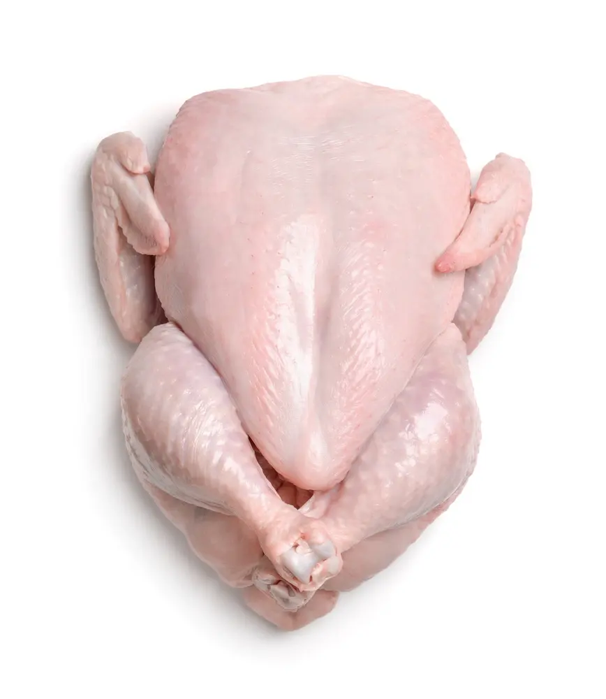 Boneless Skinless Whole Chicken and chicken Breast for Bulk Buyers