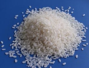 เนื้อนุ่มดี-ราคาปานกลางข้าวจากเวียดนาม (WA: 0084 387 264 621) - Product Image 6