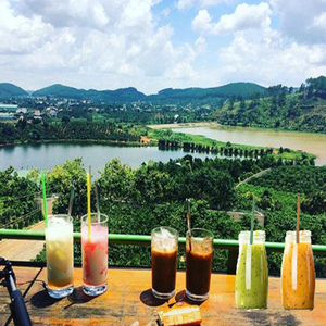 Vietnam OEM Rice <b>Straw</b> Producer Manufacturing Plastic Free <b>Drinking</b> <b>Straws</b> <b>for</b> Retail Brands Food Chains and Importers <b>For</b> B2B - Product Image 3