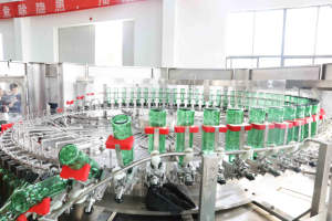 Bouteille en verre Pet bobo 1 ml, gaz carbonisé CO2, jus d'<span class=keywords><strong>eau</strong></span> scintillante, boisson, bière, remplissage, machines, nouveau Design - Product Image 2