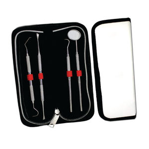 Stainless Steel Dentist Tools Dental Instruments Surgical Dental Hygiene Kit - Product Image 3