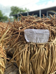 Matière première de jacinthe d'eau séchée de qualité supérieure, vendue en vrac pour la fabrication de sacs, paniers et meubles – Nouvel An - Product Image 3