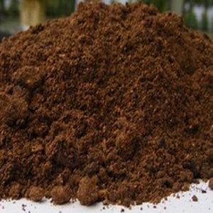 PKE PKC 18-24% Cọ Hạt Nhân Dầu Bánh Gia Súc Động Vật Thức Ăn Gà, Cừu, Lợn, Trong Aysen Del Chung Carlos Ibanez Del Campo CHILE - Product Image 6