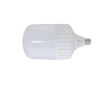 Bombilla Led grande en forma de T, 50w