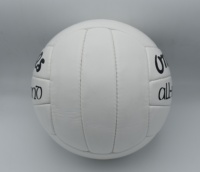 Popüler Dayanıklı Gealic Futbol Antrenman Topu, Bütil/Lateks İç Lastikli, PU Malzemeli, Özelleştirilebilir Boyut ve Renk, Müşteri Logosu