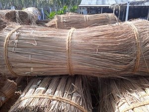 ก้านไม้กวาดใบลามะพร้าว,แท่งไม้กวาด Nipah - Product Image 4